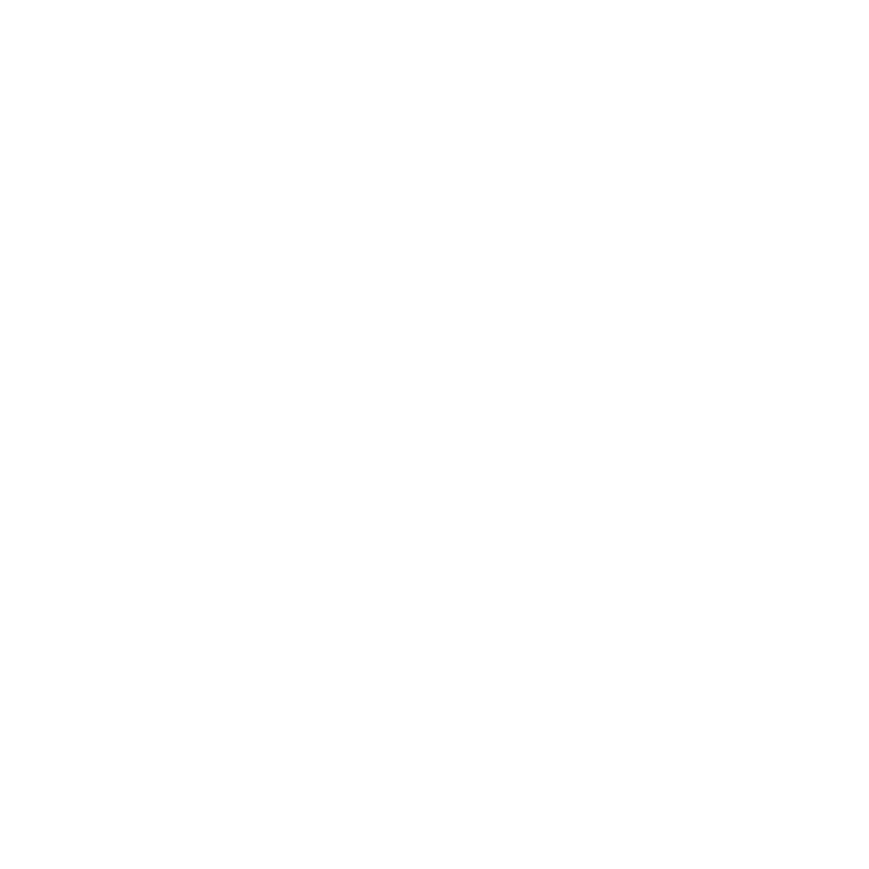 Email Firewall icon